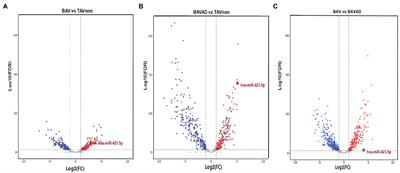 Plasma Exosomal Mir-423-5p Is Involved in the Occurrence and Development of Bicuspid Aortopathy via TGF-β/SMAD2 Pathway